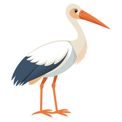 Stork isolated on white background 
