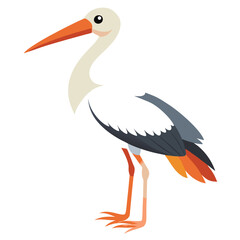 Stork isolated on white background 
