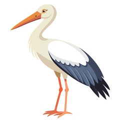 Stork isolated on white background 