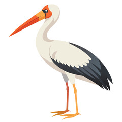 Stork isolated on white background 