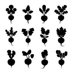 Radish Silhouette Vector Bundle Black and White Radish Clipart EPS Illustration