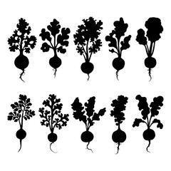 Radish Silhouette Vector Bundle Black and White Radish Clipart EPS Illustration