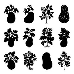 Potato Silhouette Vector Bundle Black and White Potato Clipart EPS Illustration