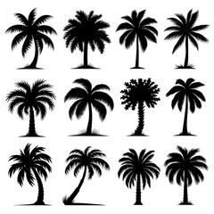 Palm Tree Silhouette Vector Bundle Black and White Palm Tree Clipart EPS Illustration
