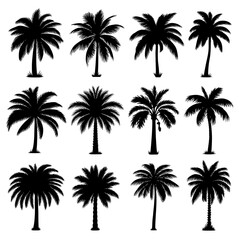 Palm Tree Silhouette Vector Bundle Black and White Palm Tree Clipart EPS Illustration