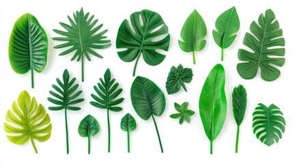 Collection of artificial tropical green leaves isolated on white