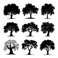 Olive Tree Silhouette Vector Bundle Black and White Olive Tree Clipart EPS Illustration