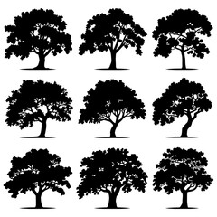 Oak Tree Silhouette Vector Bundle Black and White Oak Tree Clipart EPS Illustration