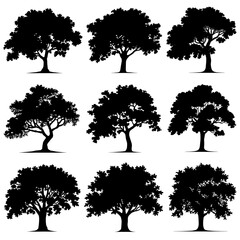 Oak Tree Silhouette Vector Bundle Black and White Oak Tree Clipart EPS Illustration
