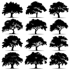 Oak Tree Silhouette Vector Bundle Black and White Oak Tree Clipart EPS Illustration