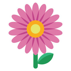 African daisy flower vector isolated on white background