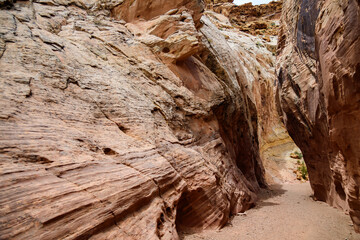 Eroded by water and wind cliffs in the canyon, Little Wild Horse Canyon, San Rafael Swell, Utah