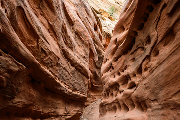 Eroded by water and wind cliffs in the canyon, Little Wild Horse Canyon, San Rafael Swell, Utah