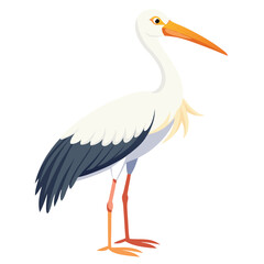 Stork isolated on white background 
