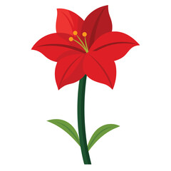 Amaryllis flower vector isolated on white background
