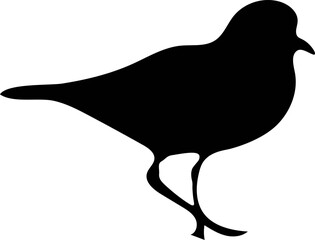 Silhouette of various birds in a vector illustration style