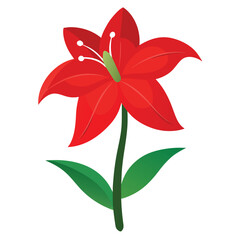 Amaryllis flower vector isolated on white background