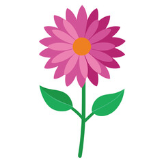 Carnation flower vector isolated on white background