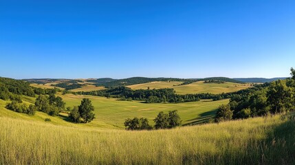 Serene Rolling Hills Landscape Under a Clear Blue Sky
