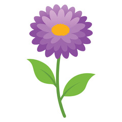 Carnation flower vector isolated on white background