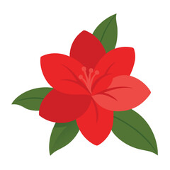 Carnation flower vector isolated on white background