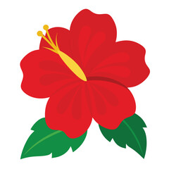 Hibiscus flower vector isolated on white background