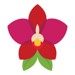 Orchid flower vector isolated on white background