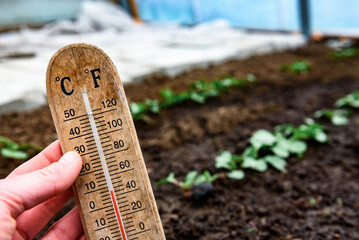 Temperature for growing radishes in the soil in early spring.
