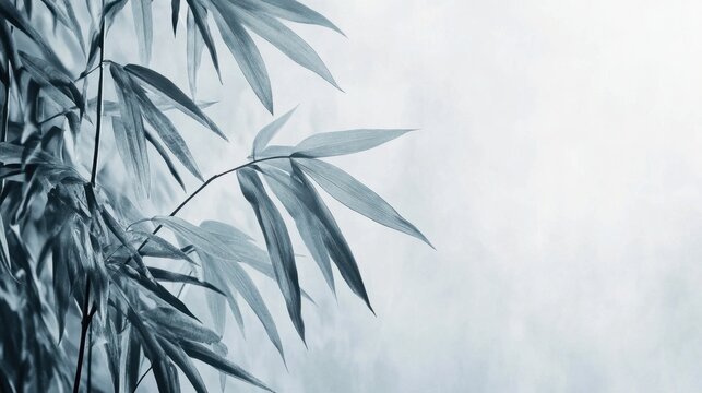 a white tone picture 120