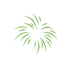 Happy earth day fireworks 