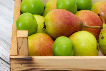 ripe fruit images. pear photos.