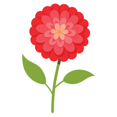 Zinnia flower vector isolated on white background