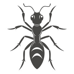 Stylized Black Ant Illustration