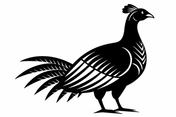 Prairie chicken silhouette black vector