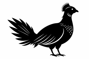 Prairie chicken silhouette black vector