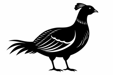 Prairie chicken silhouette black vector