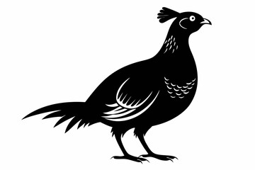 Prairie chicken silhouette black vector
