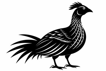 Prairie chicken silhouette black vector