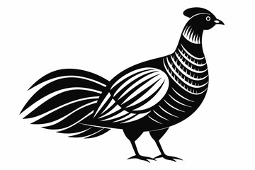 Prairie chicken silhouette black vector