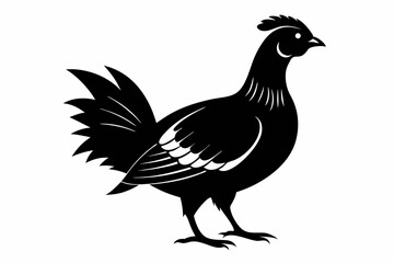 Prairie chicken silhouette black vector