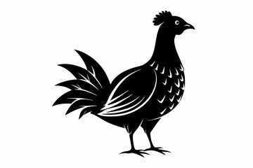 Prairie chicken silhouette black vector