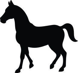 Obraz premium horse with white background
