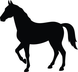 Obraz premium horse with white background