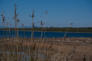 abandoned old factory with brick walls and red chimney