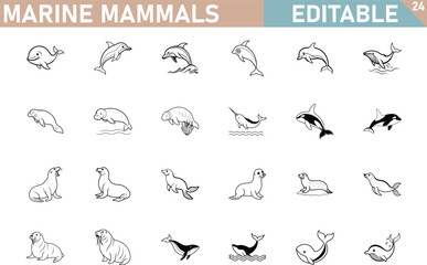 Marine Mammals Line Art Vector Icons Set Dolphins Whales Seals And More © Chaya