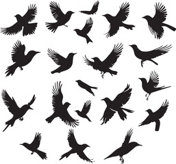 Cute birds flying set silhouette black and white 
