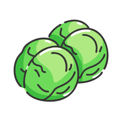 brussels sprouts icon, brussels sprouts vector illustration-simple illustration of brussels sprouts, perfect for brussels sprouts logos and icons