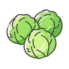 brussels sprouts icon, brussels sprouts vector illustration-simple illustration of brussels sprouts, perfect for brussels sprouts logos and icons