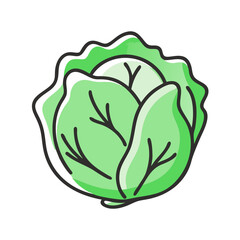 cabbage icon, cabbage vector illustration-simple illustration of cabbage, perfect for cabbage logos and icons