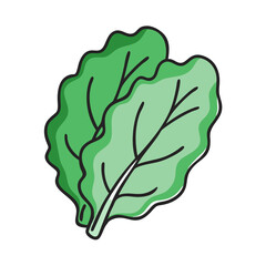 collard greens icon, collard greens vector illustration-simple illustration of collard greens, perfect for collard greens logos and icons